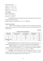 Veiklos kūrimas ir vykdymas 18 puslapis