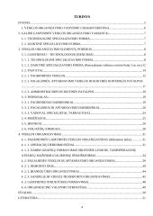 Veiklos kūrimas ir vykdymas 4 puslapis