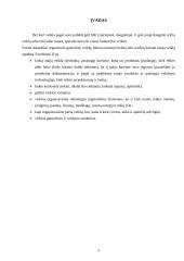 Veiklos kūrimas ir vykdymas 5 puslapis