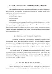 Veiklos kūrimas ir vykdymas 7 puslapis