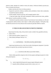 Veiklos kūrimas ir vykdymas 8 puslapis