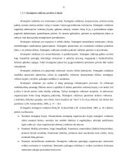 Veiklos strategijos aspektai: klinika UAB "Meditana" 11 puslapis