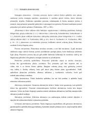 Veiklos strategijos aspektai: klinika UAB "Meditana" 7 puslapis