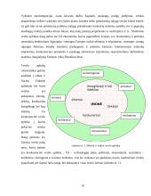 Verslas ir ekonomika "naujojoje" Europoje. Europos Sąjungos (ES) ekonominė politika 11 puslapis