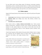 Verslas ir ekonomika "naujojoje" Europoje. Europos Sąjungos (ES) ekonominė politika 7 puslapis