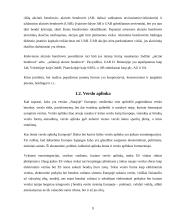 Verslas ir ekonomika "naujojoje" Europoje. Europos Sąjungos (ES) ekonominė politika 10 puslapis