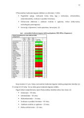 Verslo aplinkos ypatumai Estijoje 13 puslapis