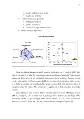 Verslo aplinkos ypatumai Estijoje 15 puslapis
