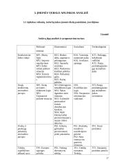 Verslo aplinkos prognozavimas turizmo agentūroje "Jotva" 17 puslapis