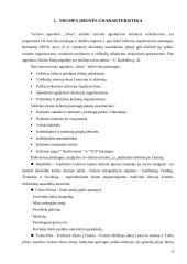 Verslo aplinkos prognozavimas turizmo agentūroje "Jotva" 4 puslapis