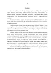 Verslo ekonomika - UAB "Karolis" 2 puslapis