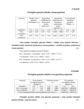 Verslo ekonomikos rodiklių skaičiavimai: UAB "Gurmanų pica" 20 puslapis