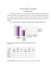 Verslo įmonės organizavimo formos 13 puslapis