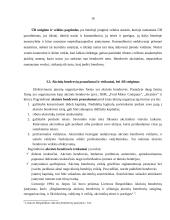 Verslo įmonės organizavimo formos 16 puslapis