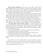 Verslo įmonės organizavimo formos 17 puslapis