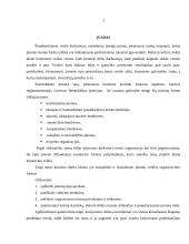 Verslo įmonės organizavimo formos 3 puslapis