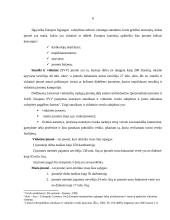 Verslo įmonės organizavimo formos 8 puslapis