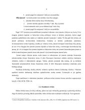 Verslo įmonės organizavimo formos 9 puslapis