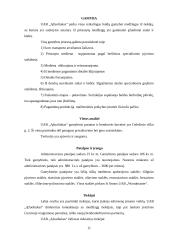 Verslo planas: baldų gamyba UAB "Ąžuoliukas" 11 puslapis