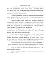 Verslo planas: baldų gamyba UAB "Ąžuoliukas" 6 puslapis