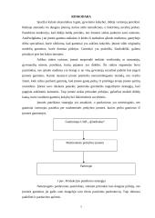 Verslo planas: baldų gamyba UAB "Ąžuoliukas" 7 puslapis