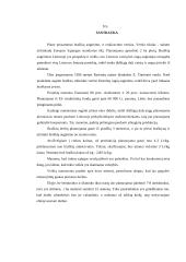 Verslo planas: braškių auginimas 2 puslapis