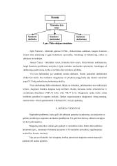 Verslo planas: braškių auginimas 12 puslapis