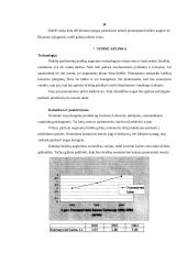 Verslo planas: braškių auginimas 13 puslapis