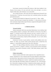 Verslo planas: braškių auginimas 14 puslapis