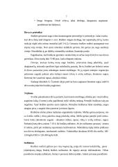 Verslo planas: braškių auginimas 6 puslapis