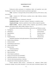 Verslo planas: buitinės technikos prekybos centras UAB "Elektromarkt" 12 puslapis