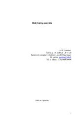 Verslo planas: dailylenčių gamykla UAB "Medina" 2 puslapis