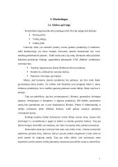 Verslo planas: dailylenčių gamykla UAB "Medina" 7 puslapis