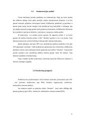 Verslo planas: dailylenčių gamykla UAB "Medina" 8 puslapis
