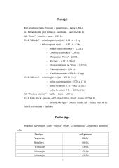 Verslo planas: duonos ir pyrago gaminių gamyba UAB "Stansta" 10 puslapis