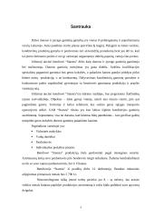 Verslo planas: duonos ir pyrago gaminių gamyba UAB "Stansta" 2 puslapis