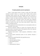 Verslo planas: duonos ir pyrago gaminių gamyba UAB "Stansta" 8 puslapis