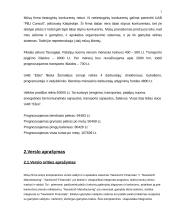 Verslo planas: elektroninės įrangos gamyba UAB "ELSIS" 3 puslapis