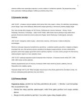 Verslo planas: elektroninės įrangos gamyba UAB "ELSIS" 4 puslapis