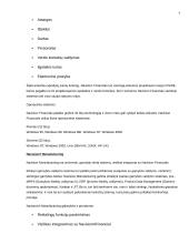 Verslo planas: elektroninės įrangos gamyba UAB "ELSIS" 6 puslapis