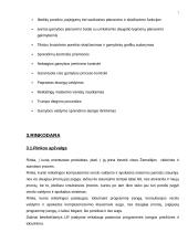 Verslo planas: elektroninės įrangos gamyba UAB "ELSIS" 7 puslapis