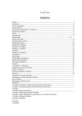 Verslo planas: fotopaslaugų teikimas IĮ "Akimirka" 2 puslapis