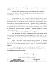 Verslo planas: fotopaslaugų teikimas IĮ "Akimirka" 11 puslapis