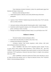 Verslo planas: fotopaslaugų teikimas IĮ "Akimirka" 12 puslapis