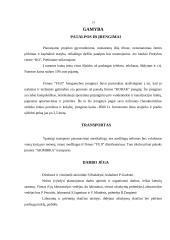 Verslo planas: fotopaslaugų teikimas IĮ "Akimirka" 13 puslapis