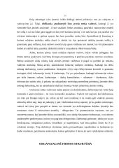 Verslo planas: fotopaslaugų teikimas IĮ "Akimirka" 15 puslapis