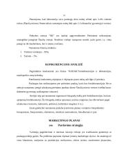 Verslo planas: fotopaslaugų teikimas IĮ "Akimirka" 10 puslapis