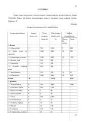 Verslo planas: grožio salonas "Eliza" 12 puslapis