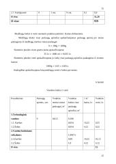 Verslo planas: grožio salonas "Eliza" 15 puslapis