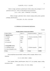 Verslo planas: grožio salonas "Eliza" 17 puslapis